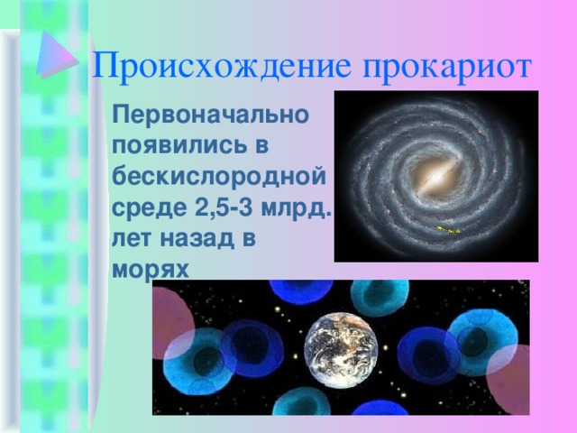 Происхождение прокариот  Первоначально появились в бескислородной среде 2,5-3 млрд. лет назад в морях 