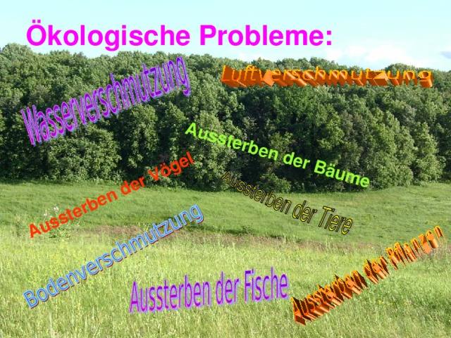 Aussterben der B äume Aussterben der V ögel  Ökologische Probleme: