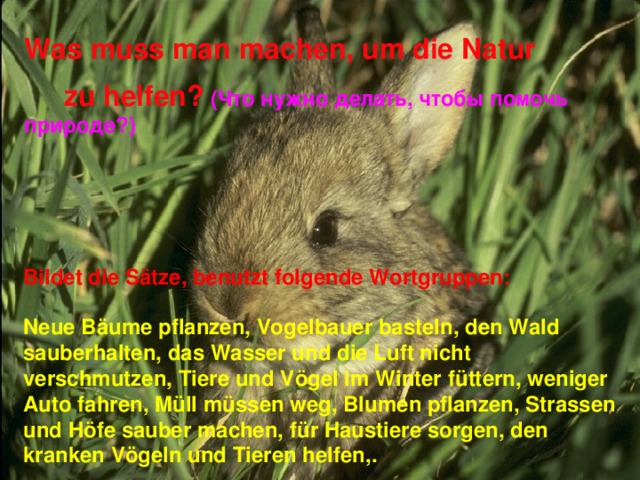 Was muss man machen, um die Natur  zu helfen?  (Что нужно делать, чтобы помочь  природе?) Bildet die S ätze, benutzt folgende Wortgruppen: Neue B äume pflanzen, Vogelbauer basteln, den Wald sauberhalten, das Wasser und die Luft nicht verschmutzen, Tiere und Vögel im Winter füttern, weniger Auto fahren, Müll müssen weg, Blumen pflanzen, Strassen und Höfe sauber machen, für Haustiere sorgen, den kranken Vögeln und Tieren helfen,.