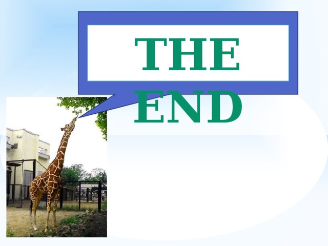 The end 