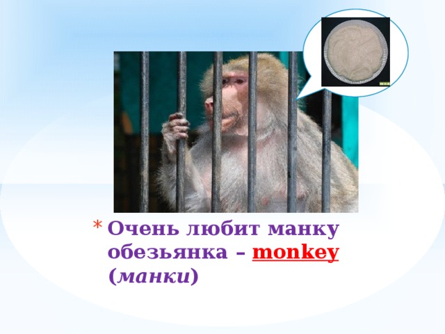 Очень любит манку  обезьянка – monkey ( манки ) 