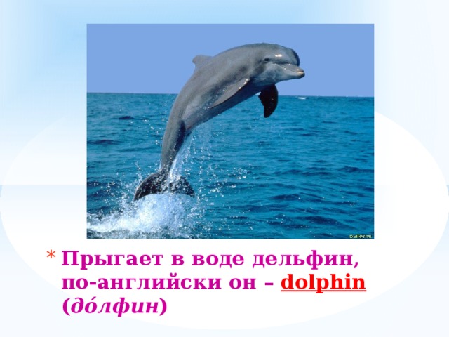 Прыгает в воде дельфин,  по-английски он – dolphin ( дóлфин ) 