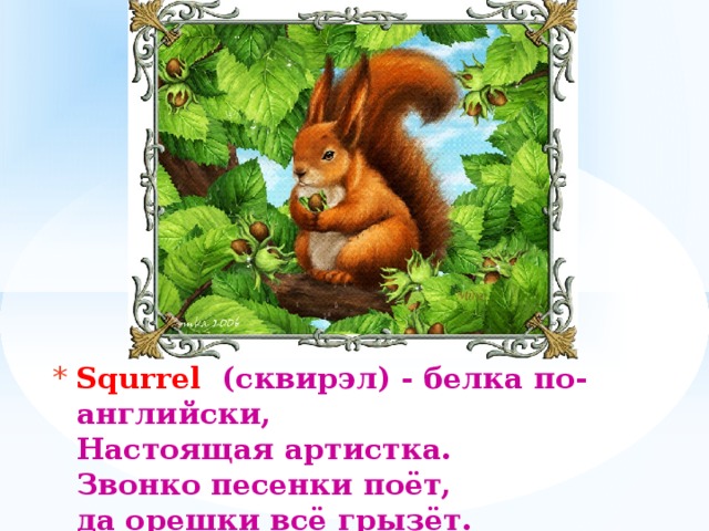 Squrrel (сквирэл) - белка по-английски,  Настоящая артистка.  Звонко песенки поёт,  да орешки всё грызёт.   