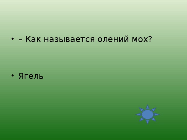 – Как называется олений мох?   Ягель 