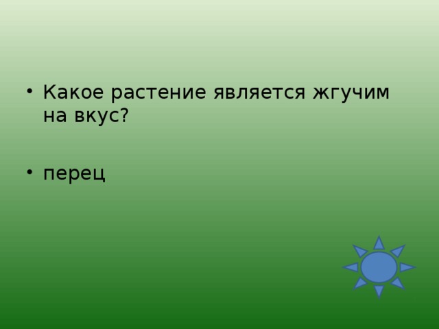 Какое растение является жгучим на вкус?  перец  