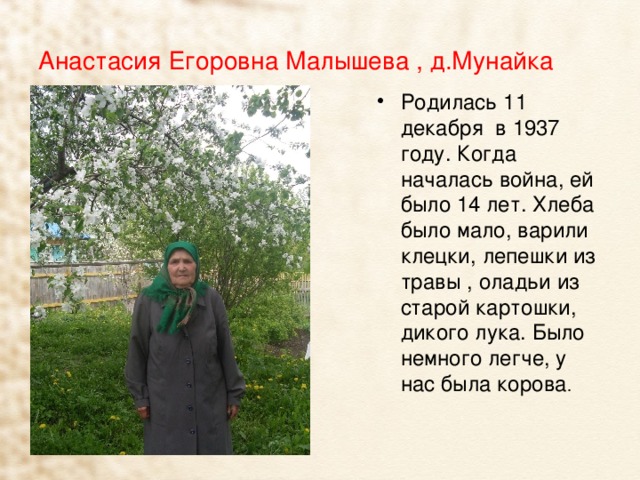 Анастасия Егоровна Малышева , д.Мунайка Родилась 11 декабря в 1937 году. Когда началась война, ей было 14 лет. Хлеба было мало, варили клецки, лепешки из травы , оладьи из старой картошки, дикого лука. Было немного легче, у нас была корова . 