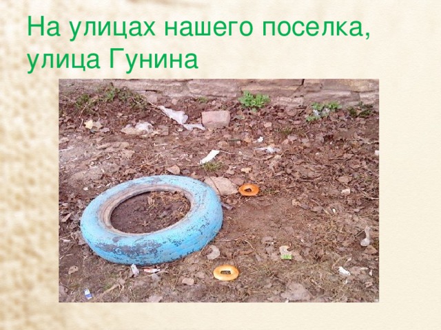 На улицах нашего поселка,  улица Гунина 