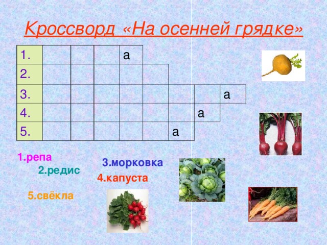 Кроссворд «На осенней грядке» 1. 2. 3. 4. а 5. а а а 1.репа 3.морковка 2.редис 4.капуста 5.свёкла 