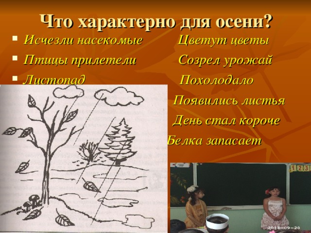 Что характерно для осени? Исчезли насекомые Цветут цветы Птицы прилетели Созрел урожай Листопад Похолодало  Появились листья  День стал короче  Белка запасает корм  Медведь спит 