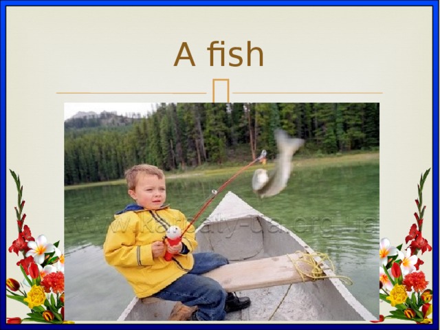 A fish 