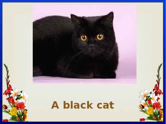 Вставка рисунка A black cat 