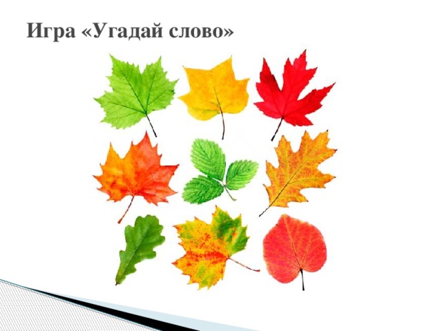 Игра «Угадай слово» 