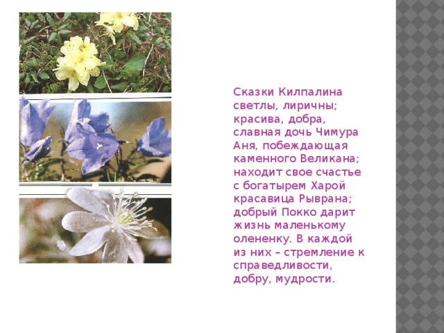 Сказки Килпалина светлы, лиричны; красива, добра, славная дочь Чимура Аня, побеждающая каменного Великана; находит свое счастье с богатырем Харой красавица Рыврана; добрый Покко дарит жизнь маленькому олененку. В каждой из них – стремление к справедливости, добру, мудрости.