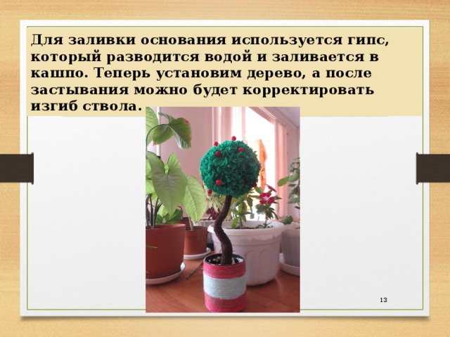 Для заливки основания используется гипс, который разводится водой и заливается в кашпо. Теперь установим дерево, а после застывания можно будет корректировать изгиб ствола.  