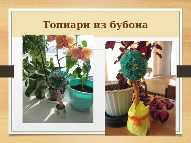 Топиари из бубона  