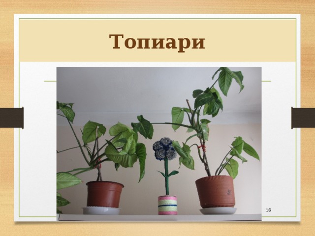 Топиари  