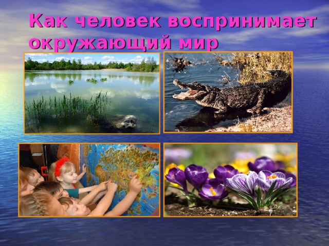 Как человек воспринимает окружающий мир   