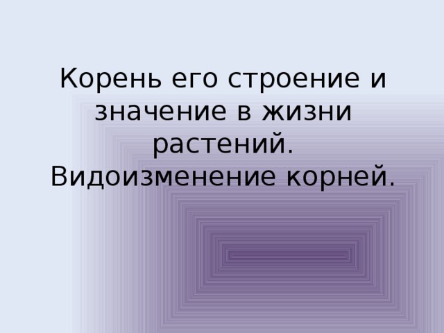 Корень его строение и значение в жизни растений. Видоизменение корней. 