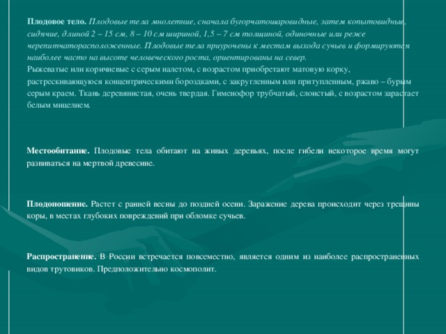 Плодовое тело. Плодовые тела мнолетние, сначала бугорчатошаровидные, затем копытовидные, сидячие, длиной 2 – 15 см, 8 – 10 см шириной, 1,5 – 7 см толщиной, одиночные или реже черепитчаторасположенные. Плодовые тела приурочены к местам выхода сучьев и формируются наиболее часто на высоте человеческого роста, ориентированы на север.  Рыжеватые или коричневые с серым налетом, с возрастом приобретают матовую корку, растрескивающуюся концентрическими бороздками, с закругленным или притупленным, ржаво – бурым серым краем. Ткань деревянистая, очень твердая. Гименофор трубчатый, слоистый, с возрастом зарастает белым мицелием .   Местообитание. Плодовые тела обитают на живых деревьях, после гибели некоторое время могут развиваться на мертвой древесине. Плодоношение. Растет с ранней весны до поздней осени. Заражение дерева происходит через трещины коры, в местах глубоких повреждений при обломке сучьев. Распространение. В России встречается повсеместно, является одним из наиболее распространенных видов трутовиков. Предположительно космополит.