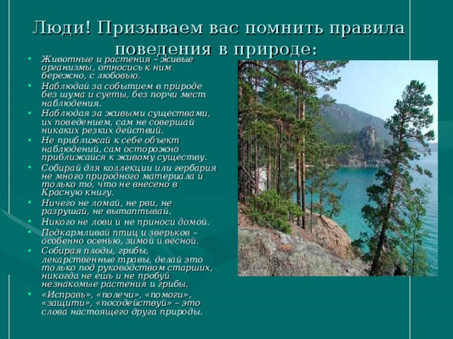 Люди! Призываем вас помнить правила поведения в природе:    Животные и растения – живые организмы, относись к ним бережно, с любовью. Наблюдай за событием в природе без шума и суеты, без порчи мест наблюдения. Наблюдая за живыми существами, их поведением, сам не совершай никаких резких действий. Не приближай к себе объект наблюдений, сам осторожно приближайся к живому существу. Собирай для коллекции или гербария не много природного материала и только то, что не внесено в Красную книгу. Ничего не ломай, не рви, не разрушай, не вытаптывай. Никого не лови и не приноси домой. Подкармливай птиц и зверьков – особенно осенью, зимой и весной. Собирая плоды, грибы, лекарственные травы, делай это только под руководством старших, никогда не ешь и не пробуй незнакомые растения и грибы. «Исправь», «полечи», «помоги», «защити», «посодействуй» – это слова настоящего друга природы.   