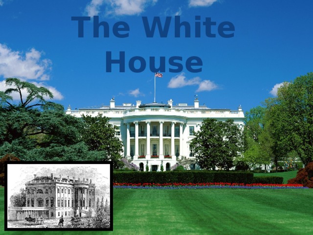 The White House 