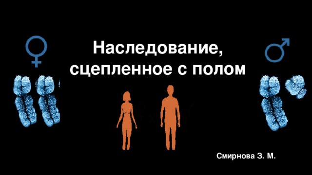 Наследование, сцепленное с полом Y X X X Смирнова З. М. 