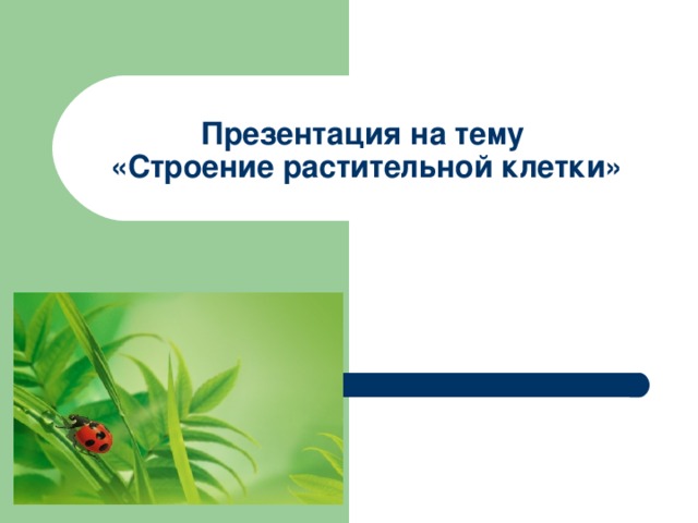 Презентация на тему  «Строение растительной клетки» 
