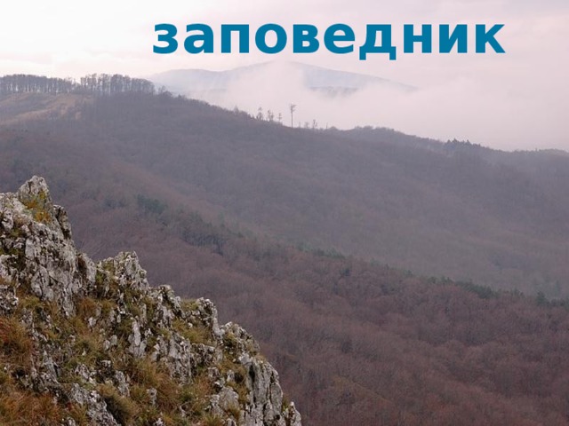 Зейский заповедник    