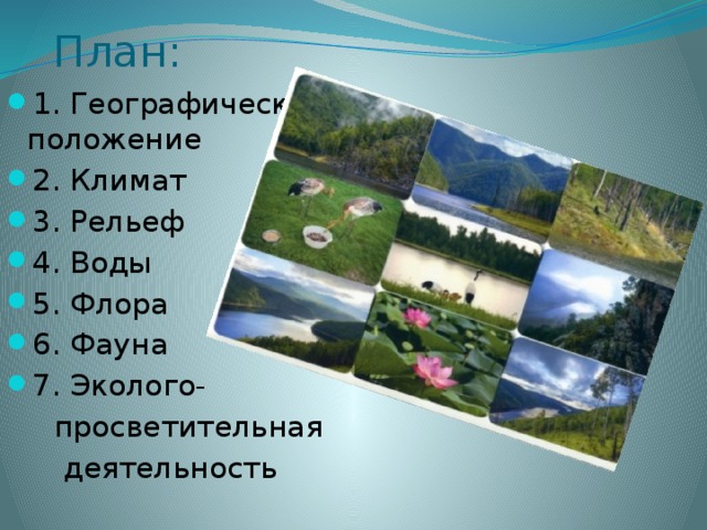 План: 1. Географическое положение 2. Климат 3. Рельеф 4. Воды 5. Флора 6. Фауна 7. Эколого-  просветительная  деятельность 