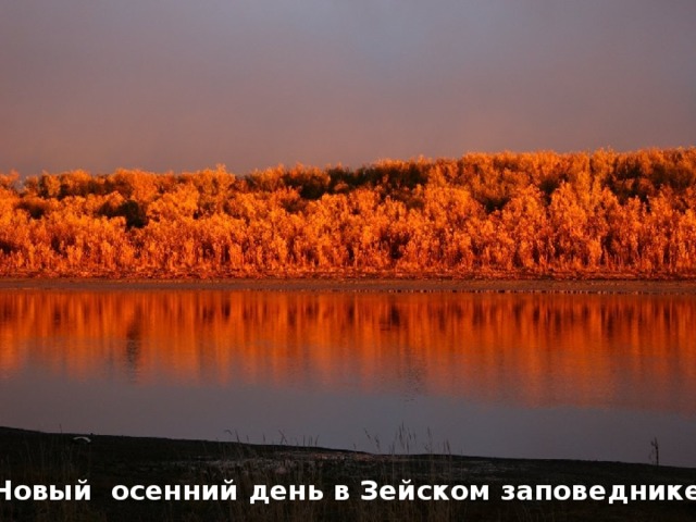  Новый осенний день в Зейском заповеднике 