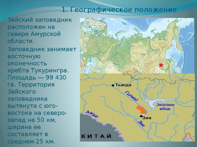 1. Географическое положение Зейский заповедник расположен на севере Амурской области. Заповедник занимает восточную оконечность хребта Тукурингра. Площадь — 99 430 га. Территория Зейского заповедника вытянута с юго-востока на северо-запад на 50 км, ширина ее составляет в среднем 25 км. 