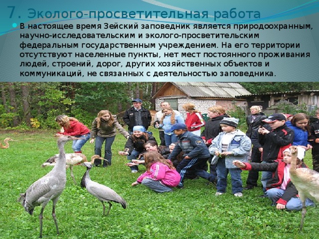 7. Эколого-просветительная работа В настоящее время Зейский заповедник является природоохранным, научно-исследовательским и эколого-просветительским федеральным государственным учреждением. На его территории отсутствуют населенные пункты, нет мест постоянного проживания людей, строений, дорог, других хозяйственных объектов и коммуникаций, не связанных с деятельностью заповедника. 