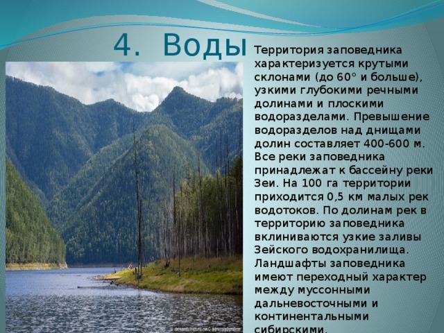  4. Воды Территория заповедника характеризуется крутыми склонами (до 60° и больше), узкими глубокими речными долинами и плоскими водоразделами. Превышение водоразделов над днищами долин составляет 400-600 м. Все реки заповедника принадлежат к бассейну реки Зеи. На 100 га территории приходится 0,5 км малых рек водотоков. По долинам рек в территорию заповедника вклиниваются узкие заливы Зейского водохранилища. Ландшафты заповедника имеют переходный характер между муссонными дальневосточными и континентальными сибирскими. 