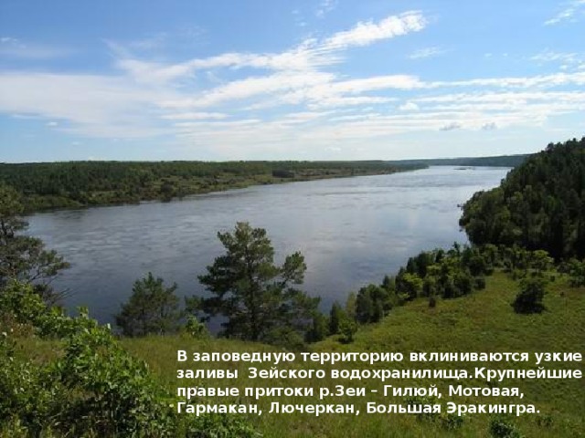 В заповедную территорию вклиниваются узкие заливы Зейского водохранилища.Крупнейшие правые притоки р.Зеи – Гилюй, Мотовая, Гармакан, Лючеркан, Большая Эракингра. 