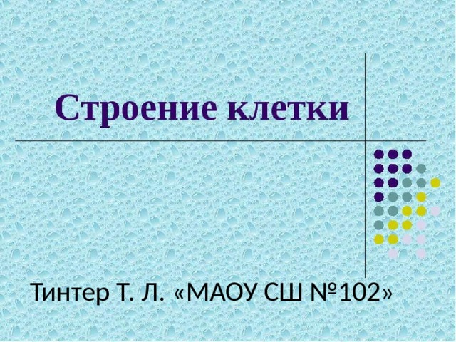  Тинтер Т. Л. «МАОУ СШ №102» 