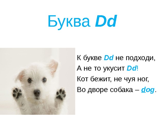 Буква Dd К букве Dd  не подходи, А не то укусит Dd ! Кот бежит, не чуя ног, Во дворе собака – d og . 
