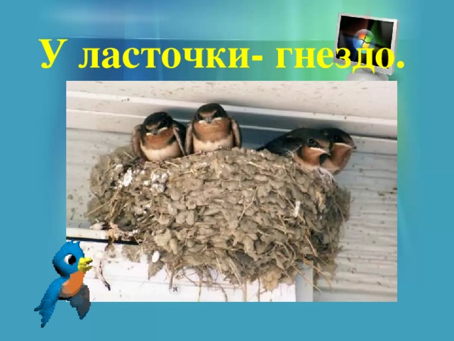 У ласточки- гнездо. 