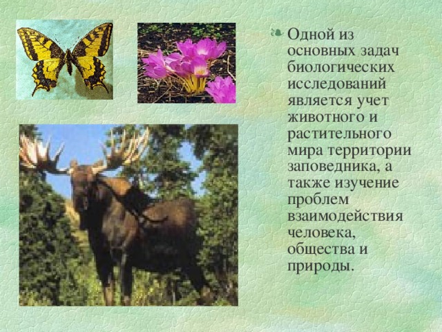 Одной из основных задач биологических исследований является учет животного и растительного мира территории заповедника, а также изучение проблем взаимодействия человека, общества и природы. 