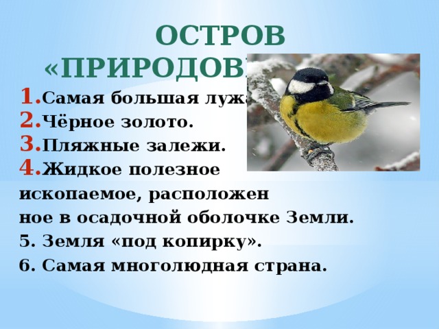 ОСТРОВ «ПРИРОДОВЕДЕНИЕ» Самая большая лужа. Чёрное золото. Пляжные залежи. Жидкое полезное ископаемое, расположен ное в осадочной оболочке Земли. 5. Земля «под копирку». 6. Самая многолюдная страна.