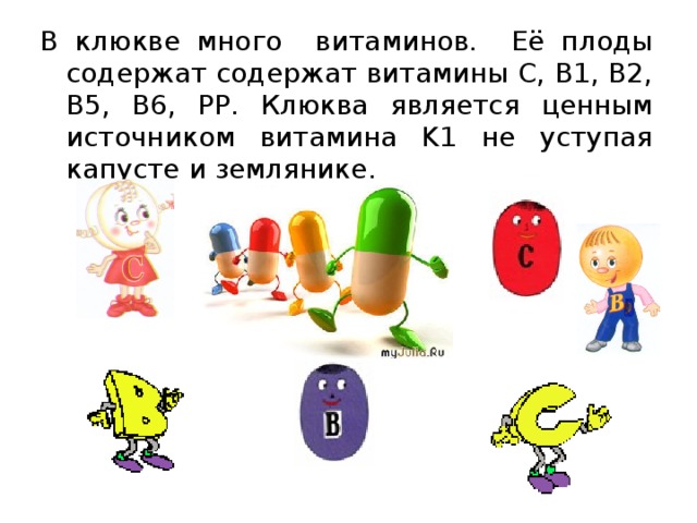 В клюкве много витаминов. Её плоды содержат содержат витамины С, B1, B2, B5, B6, PP. Клюква является ценным источником витамина K1 не уступая капусте и землянике. 