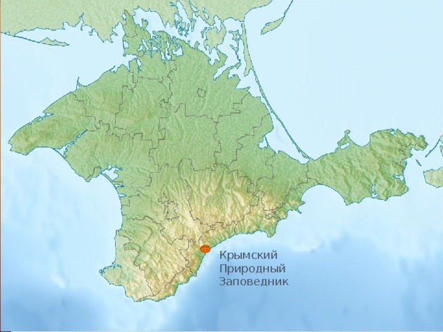 Крымский Природный Заповедник 