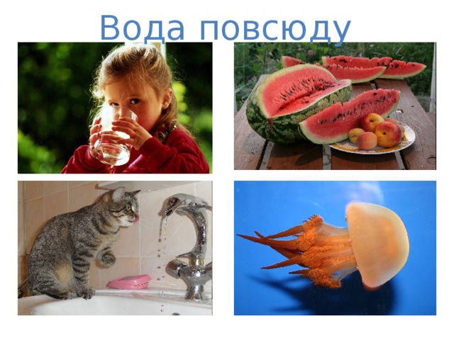 Вода повсюду 