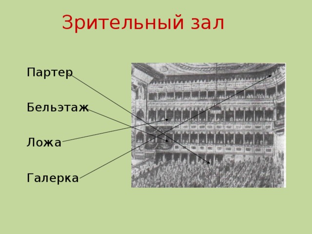 Зрительный зал Партер Бельэтаж Ложа Галерка 