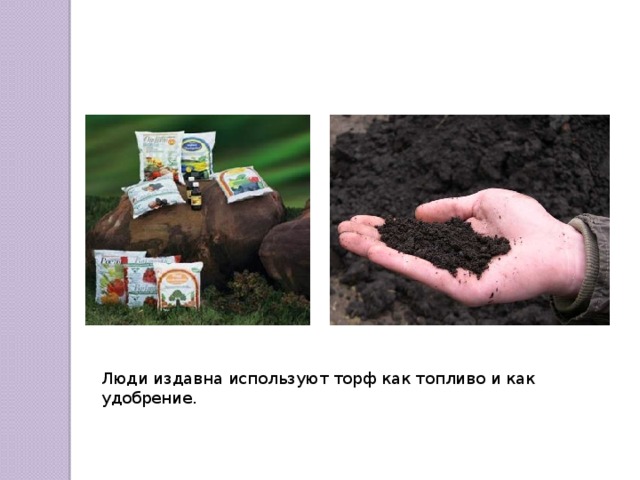 Люди издавна используют торф как топливо и как удобрение. 