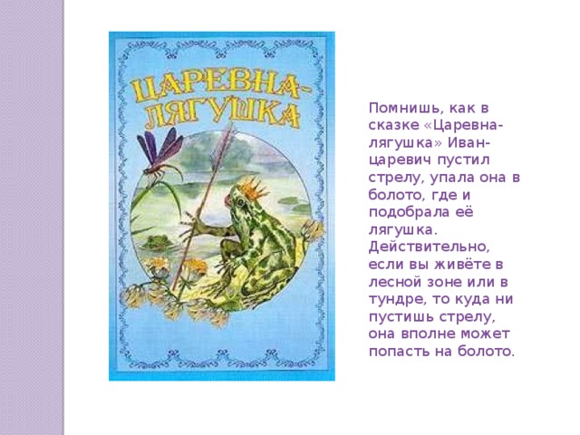 Помнишь, как в сказке «Царевна-лягушка» Иван-царевич пустил стрелу, упала она в болото, где и подобрала её лягушка. Действительно, если вы живёте в лесной зоне или в тундре, то куда ни пустишь стрелу, она вполне может попасть на болото. 