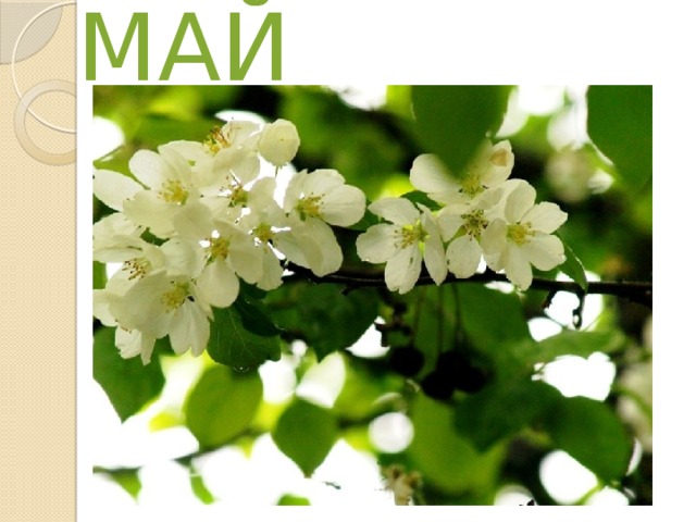 МАЙ  