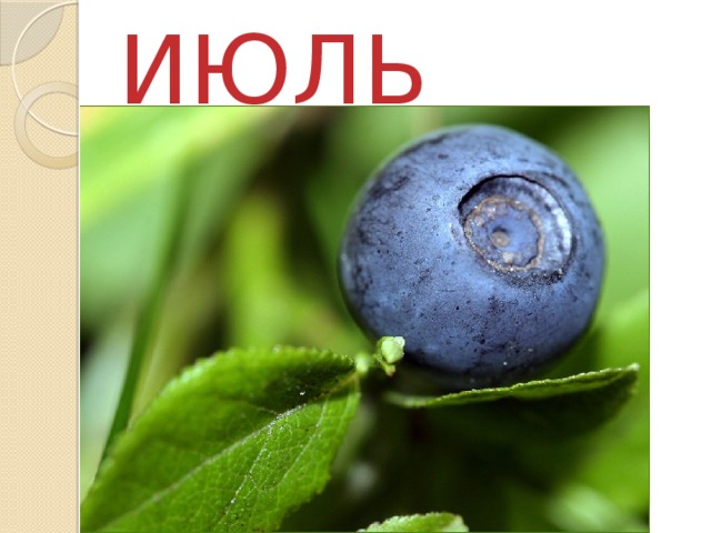 ИЮЛЬ 
