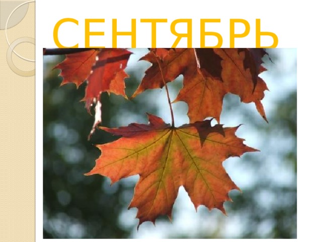СЕНТЯБРЬ 