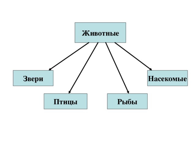 Животные схема 2 класс