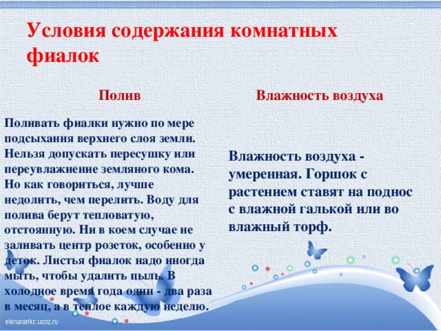 Условия содержания комнатных фиалок Полив Влажность воздуха  Поливать фиалки нужно по мере подсыхания верхнего слоя земли. Нельзя допускать пересушку или переувлажнение земляного кома. Но как говориться, лучше недолить, чем перелить. Воду для полива берут тепловатую, отстоянную. Ни в коем случае не заливать центр розеток, особенно у деток. Листья фиалок надо иногда мыть, чтобы удалить пыль. В холодное время года один - два раза в месяц, а в теплое каждую неделю. Влажность воздуха - умеренная. Горшок с растением ставят на поднос с влажной галькой или во влажный торф. 
